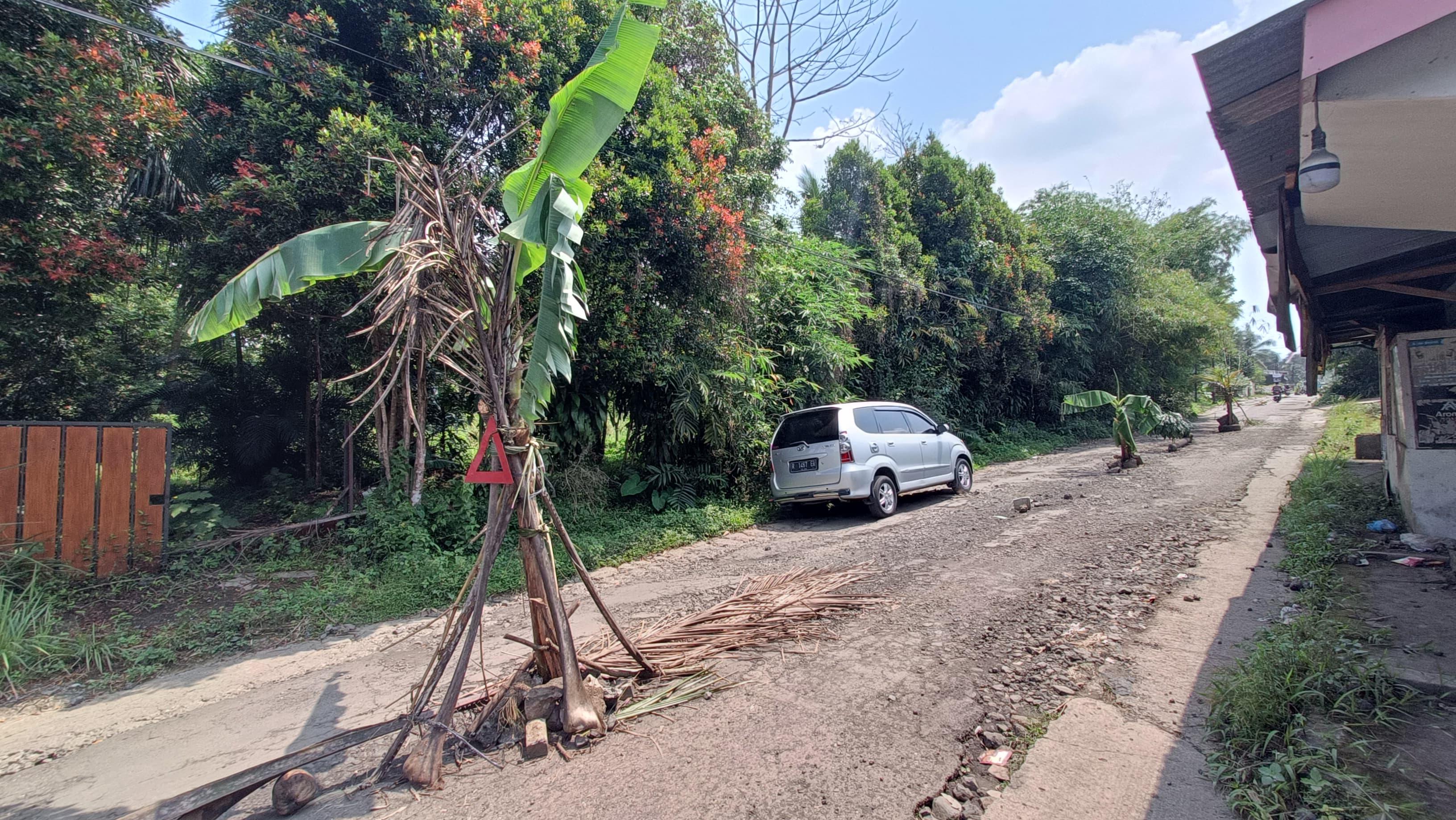 Aksi Tanam Pohon Pisang di Jalan, Bupati Banyumas: Kami Tetap Komitmen Perbaiki Jalan