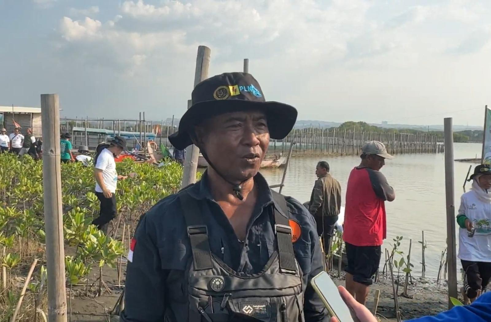 Derap Langkah Kasno dan Komunitas Mangrove, Jaga Pesisir Kota Semarang dari Gempuran Abrasi - Tribunjateng.com