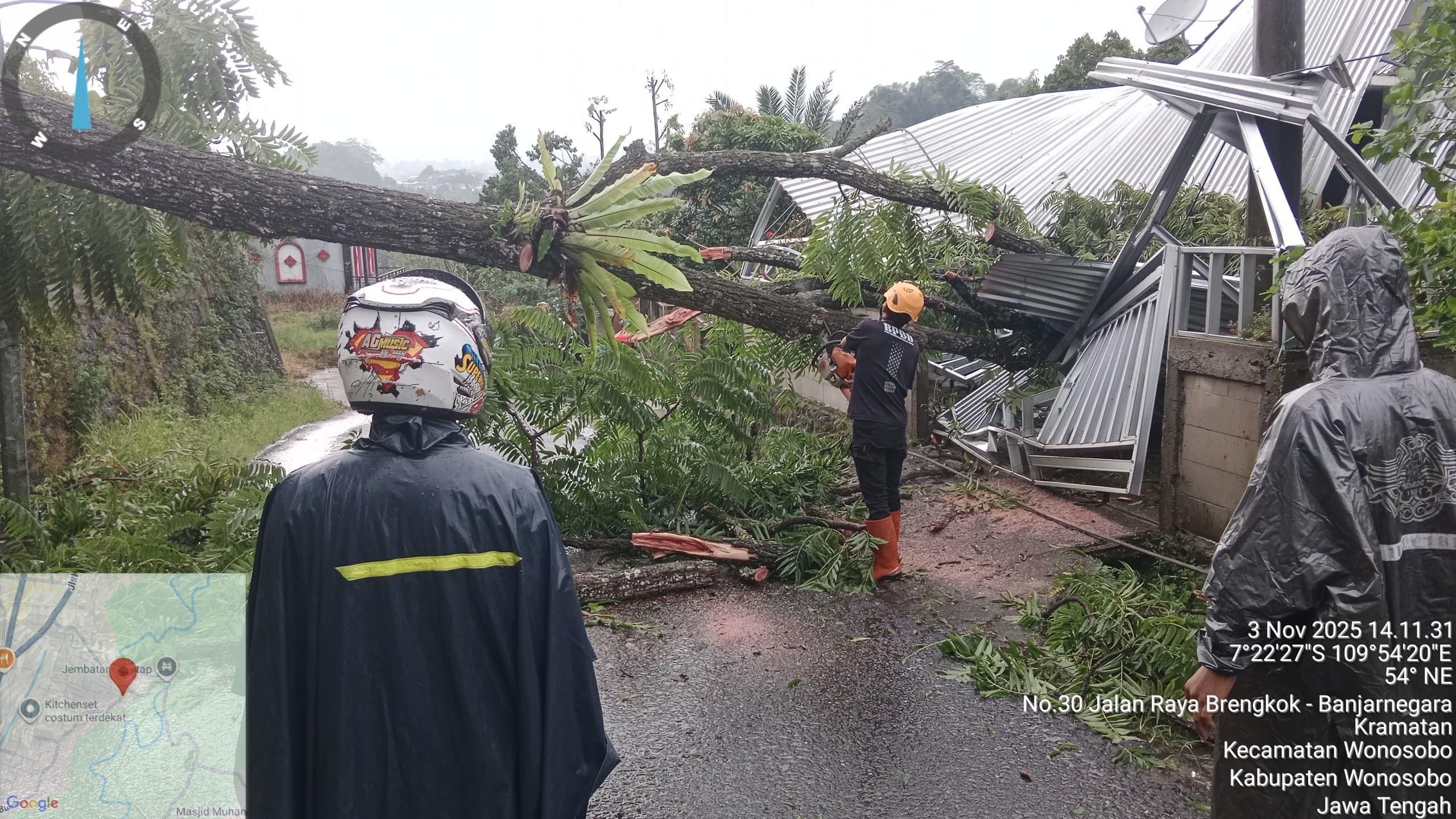 Hujan Deras, Satu Rumah Rusak dan Listrik Padam Akibat Pohon Tumbang di Wonosobo