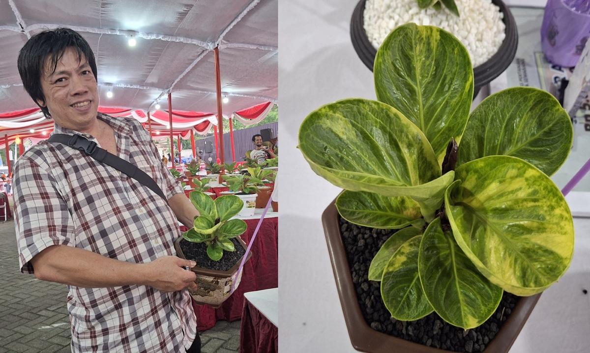 20251116_Henry-Susanto-51-peraih-Juara-I-kontes-tanaman-hias-Semarang_1.jpg