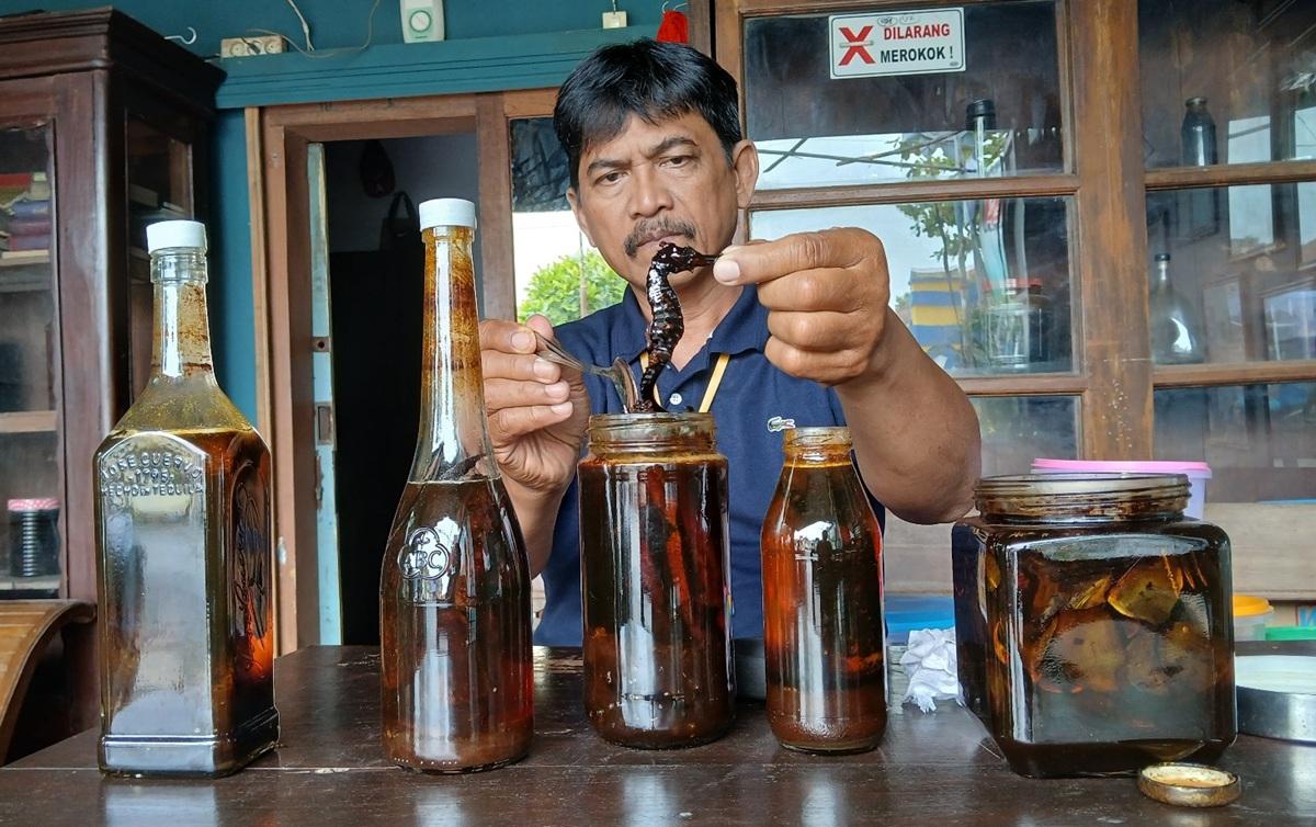 20251204_Tedjo-Asmoro-menunjukkan-madu-rendaman-kuda-laut-di-Tegal_1.jpg