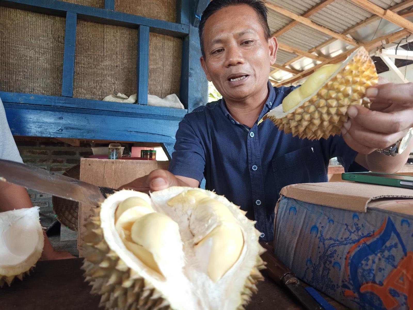 Cita Rasa Durian Lokal Rogoselo Pekalongan Jadi Magnet Warga Kota ke Desa