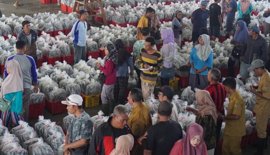 20251231-_-Lelang-Ikan-di-TPI-Kota-Pekalongan.jpg