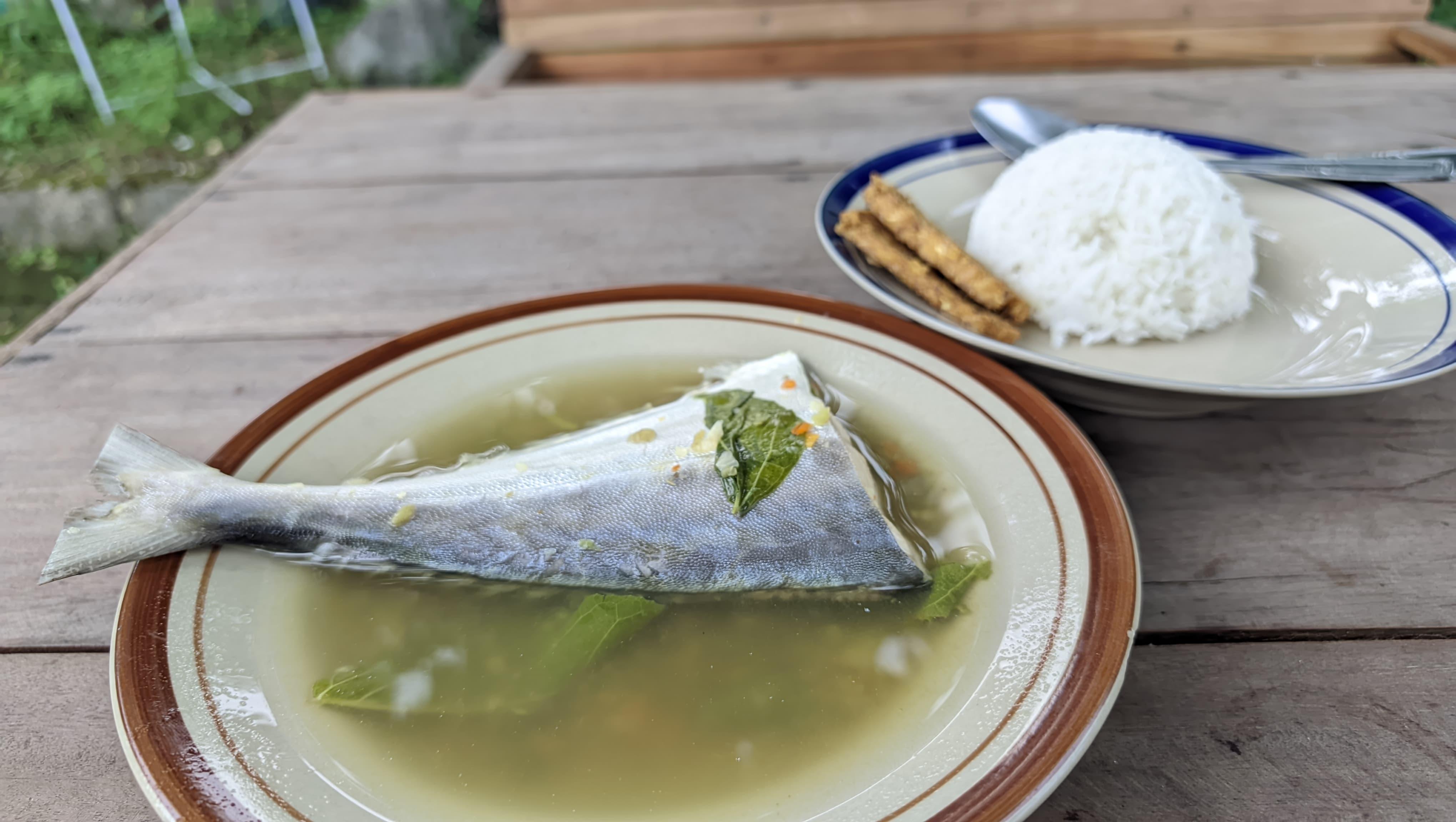 20260504_-kelo-mrico-ikan-talang-talang-Pati.jpg