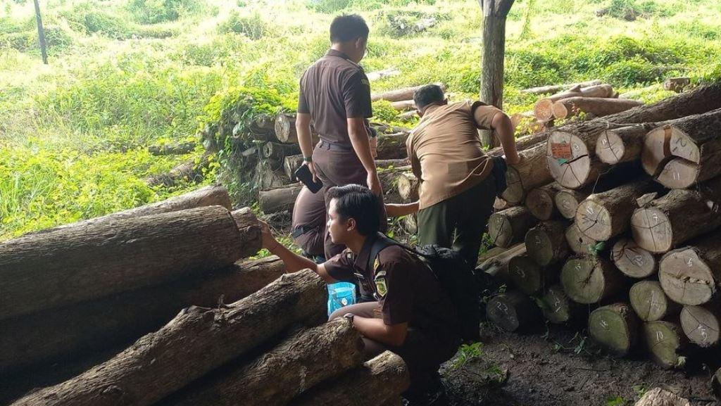 20260603_Barang-bukti-gelondongan-kayu-jati.jpg
