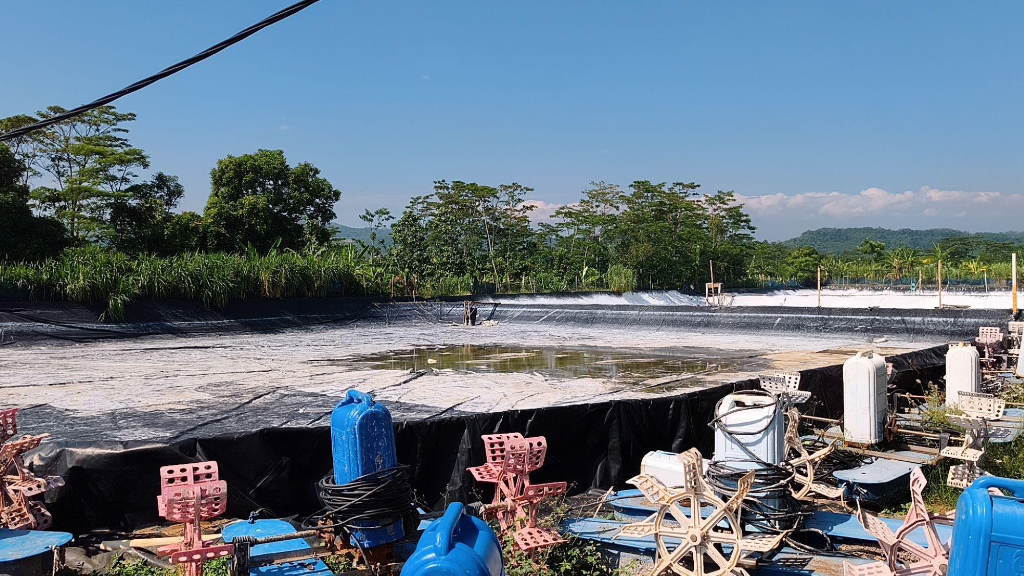 20260612_tambak-udang-batang.jpg