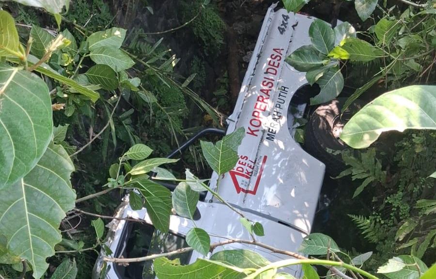 Pikap Mahindra KDMP di Banyumas Terjun ke Selokan Sedalam 3 Meter, Diduga Sopir Mengantuk - Tribunjateng.com