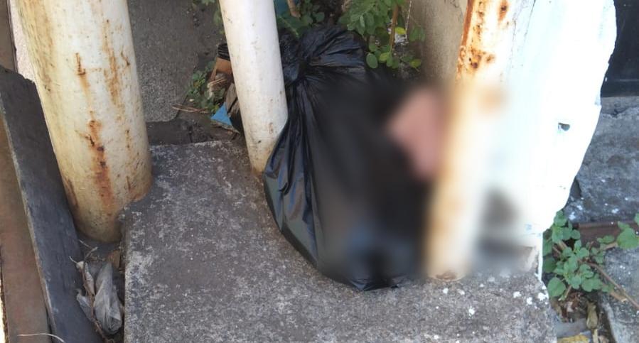 Pengakuan Penjaga Toko Buang Bayi di depan Toko : Biar Diambil Orang dan Diadopsi, tapi tak Tega