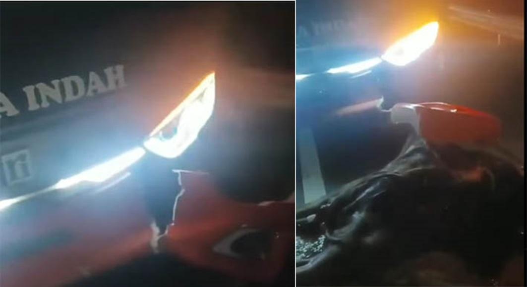 Beredar-video-yang-menampilkan-bus-Rosalia-Indah-menabrak-kerbau-di-jalan-tol.jpg