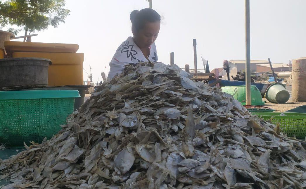 CEK FAKTA, Konsumsi Ikan Asin Bisa Sebabkan Kanker, Begini Kata Ahli