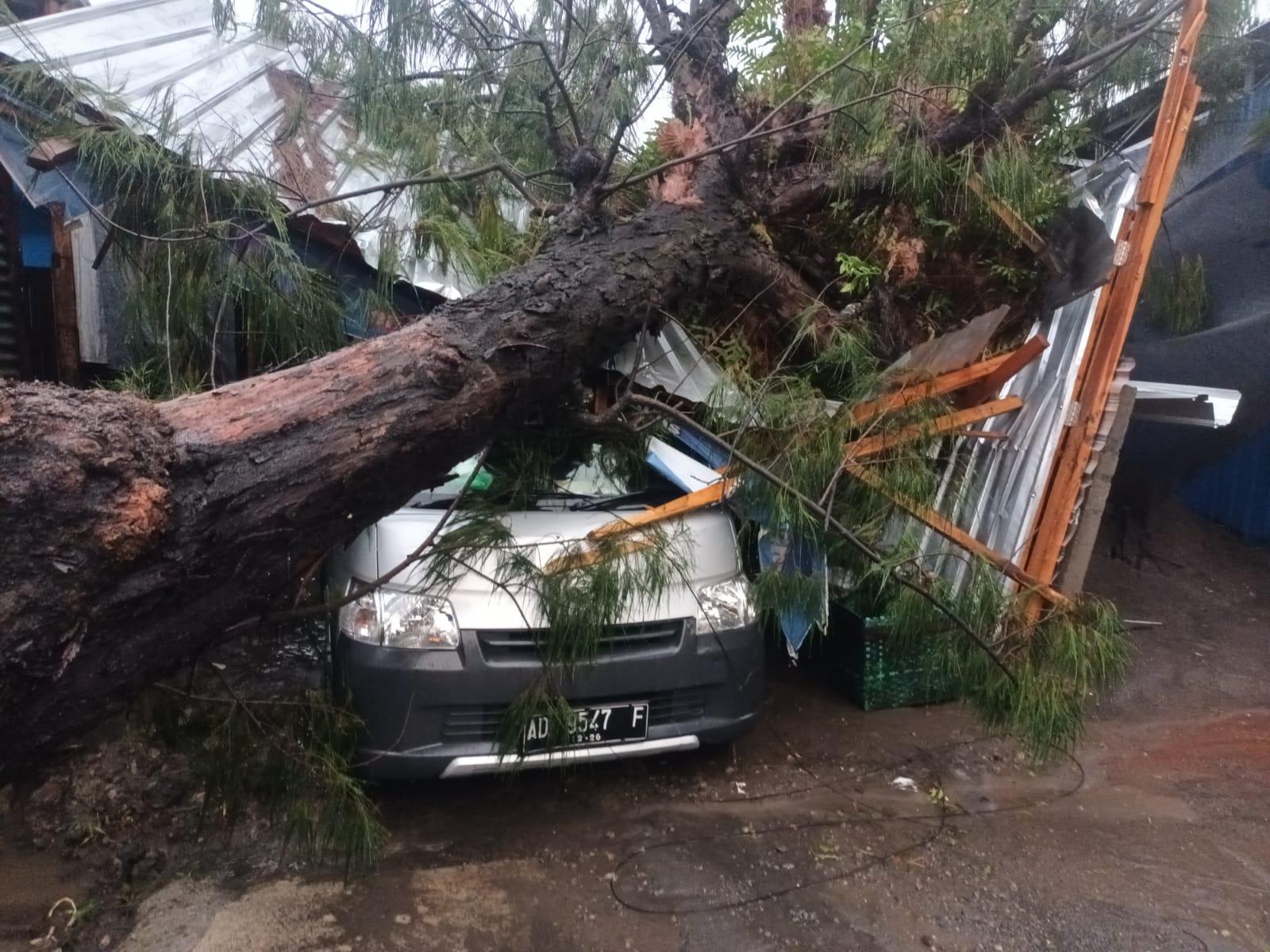 BPBD dan Relawan Bersihkan Material Longsor dan Evakuasi Pohon Tumbang di Karanganyar