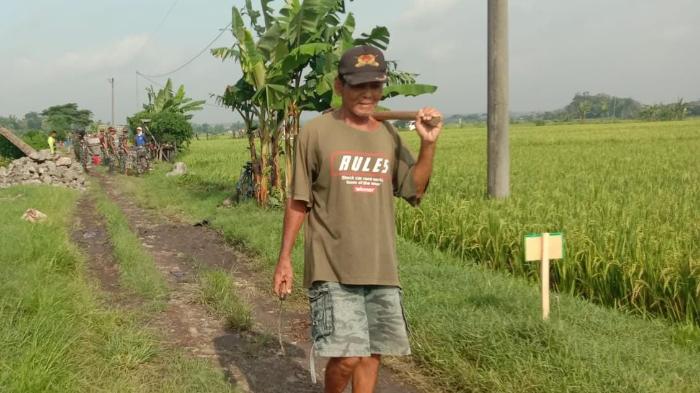 Mbah-Samino-menanti-selesainya-jalan-cor-di-tengah-sawahjfgh363s3f321.jpg