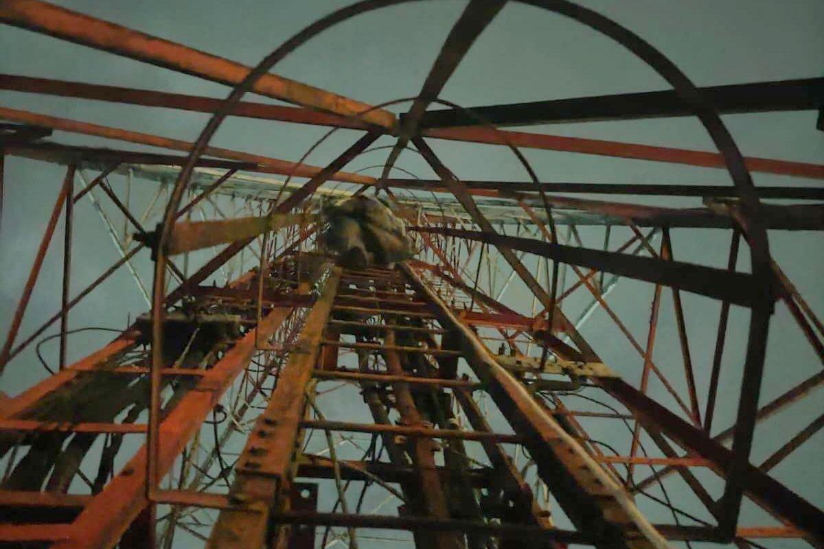 Pertanyaan Ringan dari Petugas Damkar Luluhkan Hatinya, Pemuda Ini Akhirnya Mau Turun dari Tower