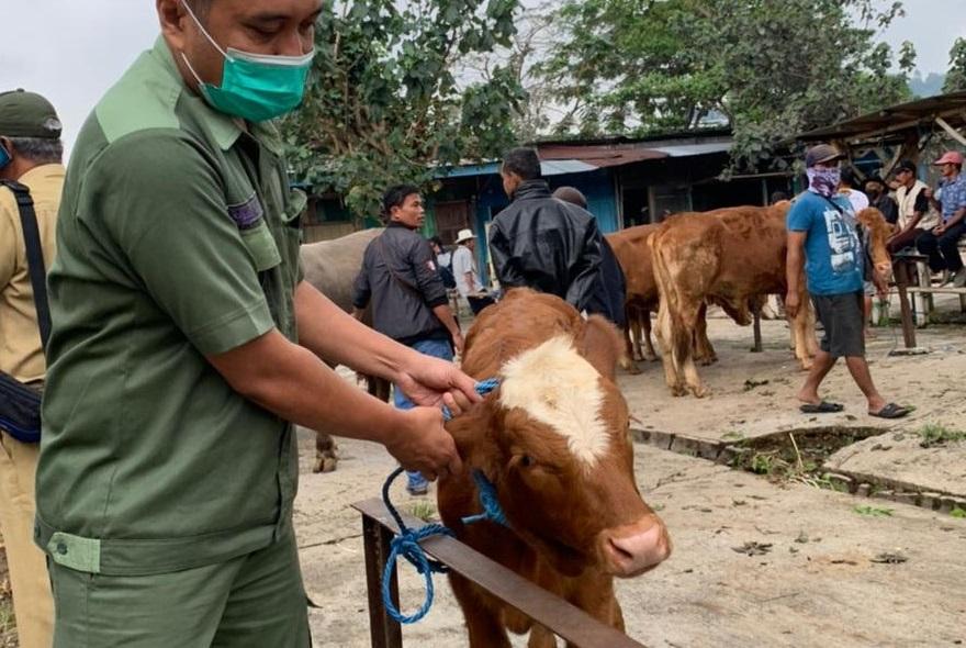 Petugas-dari-Dispertan-PP-Karanganyar-mengecek-kondisi-sapi-di-pasar-hewan.jpg