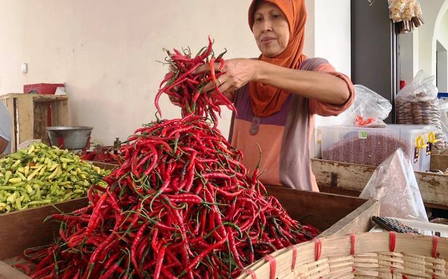 Harga Cabai Merah di Semarang Merosot, Kini di Kisaran Rp 20.000 Per Kg
