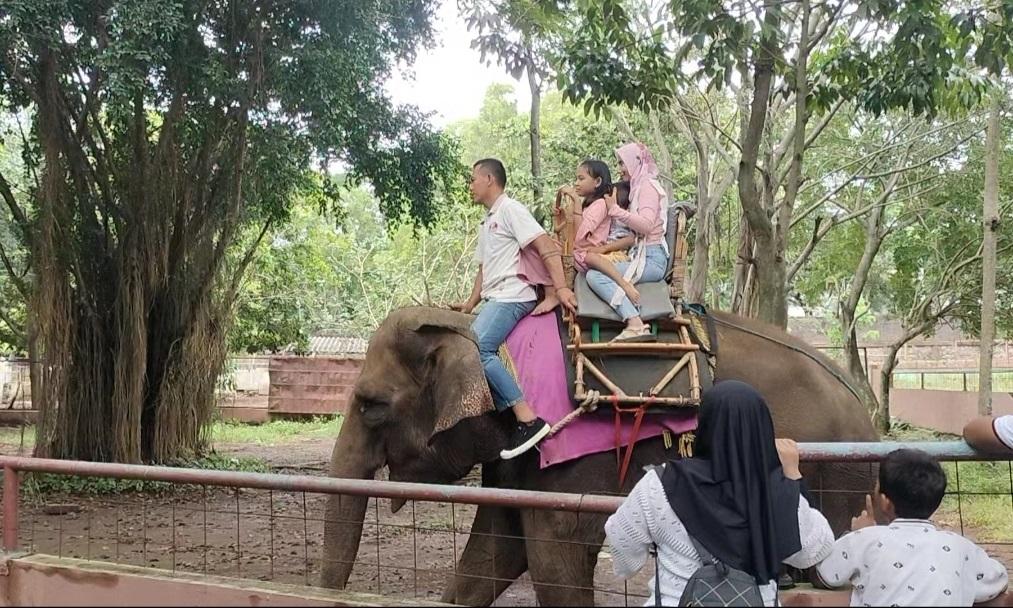 Suasana-Semarang-Zoo-saat-awal-tahun-2025-berinteraksi-dengan-satwa-2.jpg