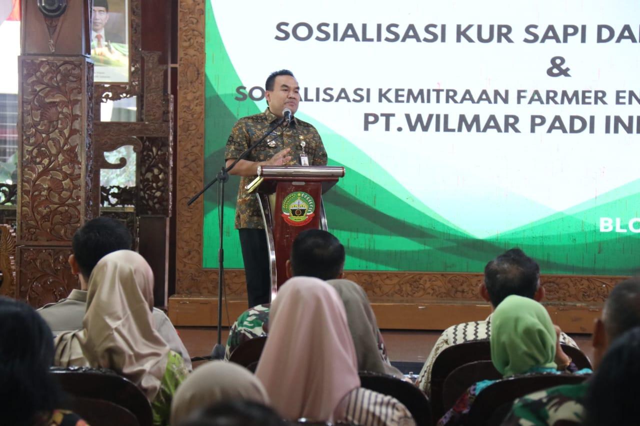 Gandeng Bapak Angkat, Cara Pemkab Kembangkan Peternakan Sapi dan Pertanian di Blora