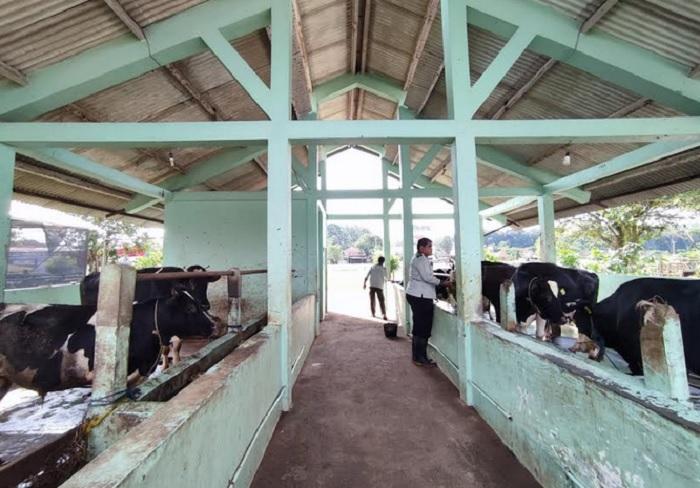 Jateng Sudah Distribusikan Jatah 75.500 Dosis Vaksin, Tertinggi Blora