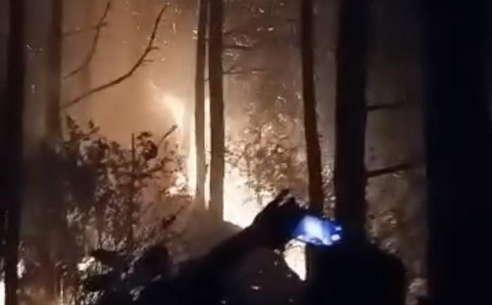 Api Juga Merusak Lahan Pertanian Kopi Rakyat Dalam Kebakaran di Gunung Kelir Kabupaten Semarang