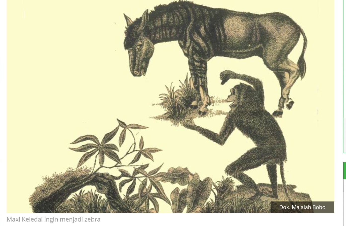cerita-fabel-keledai-yang-ingin-menjadi-zebra.jpg