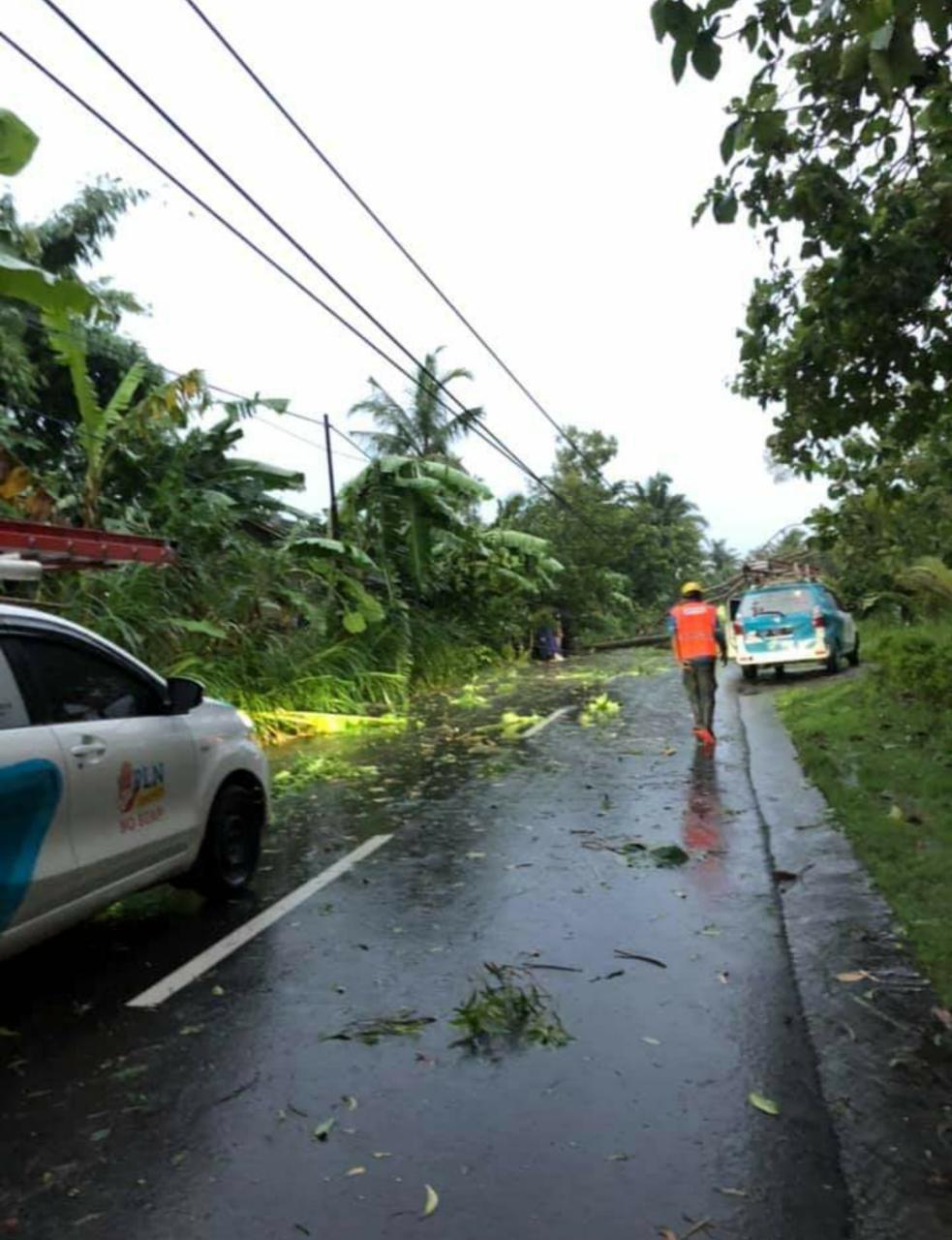 cuaca-ekstrim-pln-berhasil-normalkan-pasokan-listrik-di-klaten-boyolali-dan-kulon-progo.jpg