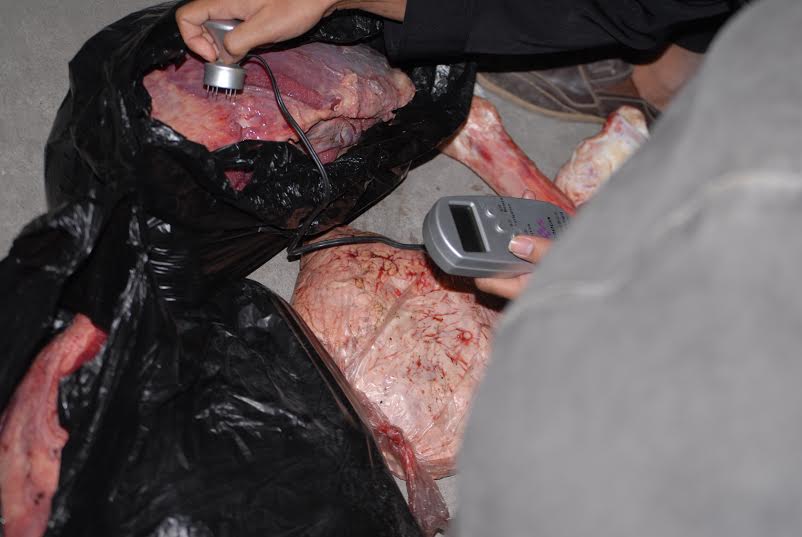 AWAS Peredaran Daging Sapi Gelonggongan Jelang Lebaran, Tim Mabes Polri Tangkap KW Warga Boyolali