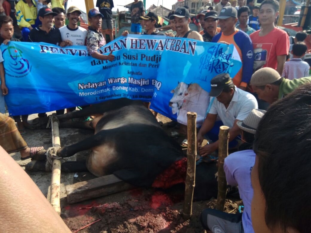 Menteri Susi Sumbangkan Seekor Sapi untuk Nelayan Demak