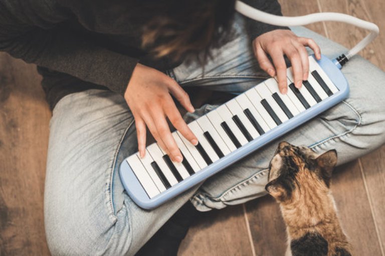 ilustrasi-orang-bermain-pianika.jpg