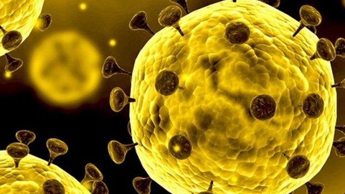 inilah-virus-corona-dari-penyebab-gejala-pencegahan-hingga-belum-ditemukan-obat.jpg