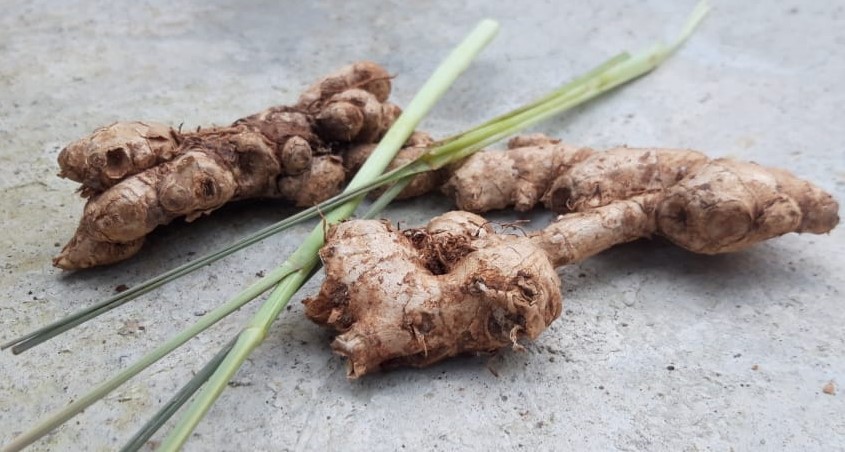 10 Manfaat Jahe yang Sudah Terbukti Ampuh untuk Kesehatan