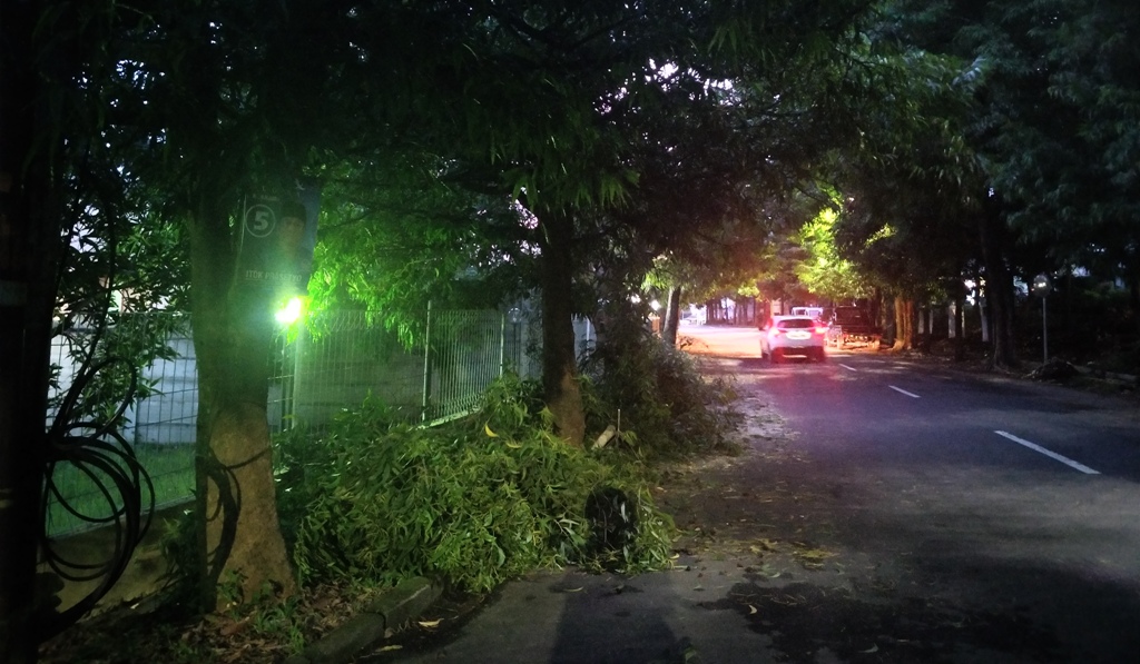 Pohon Johar di Jalan Bukit Sari Raya Semarang Tumbang, Lalu Lintas Sempat Tersendat