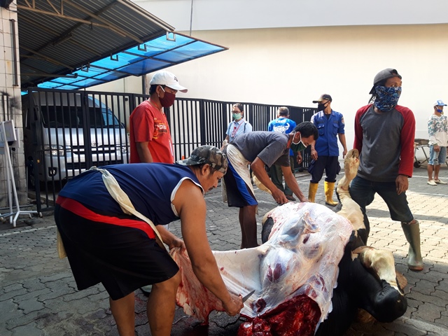 Idul Adha di Waktu PPKM Darurat, Kemenag Sarankan Penyembelihan Pada Hari Tasyrik dan Tak Berkerumun