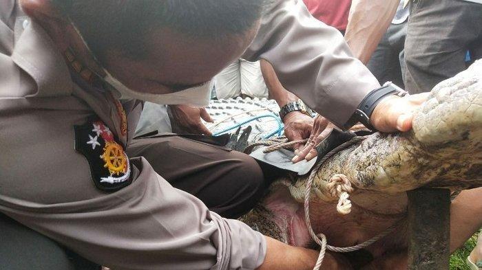 Tragis, Devi Tewas Diterkam Buaya Ompong saat Mandi, Tak Ada Bekas Luka di Tubuh Gadis Muda Itu