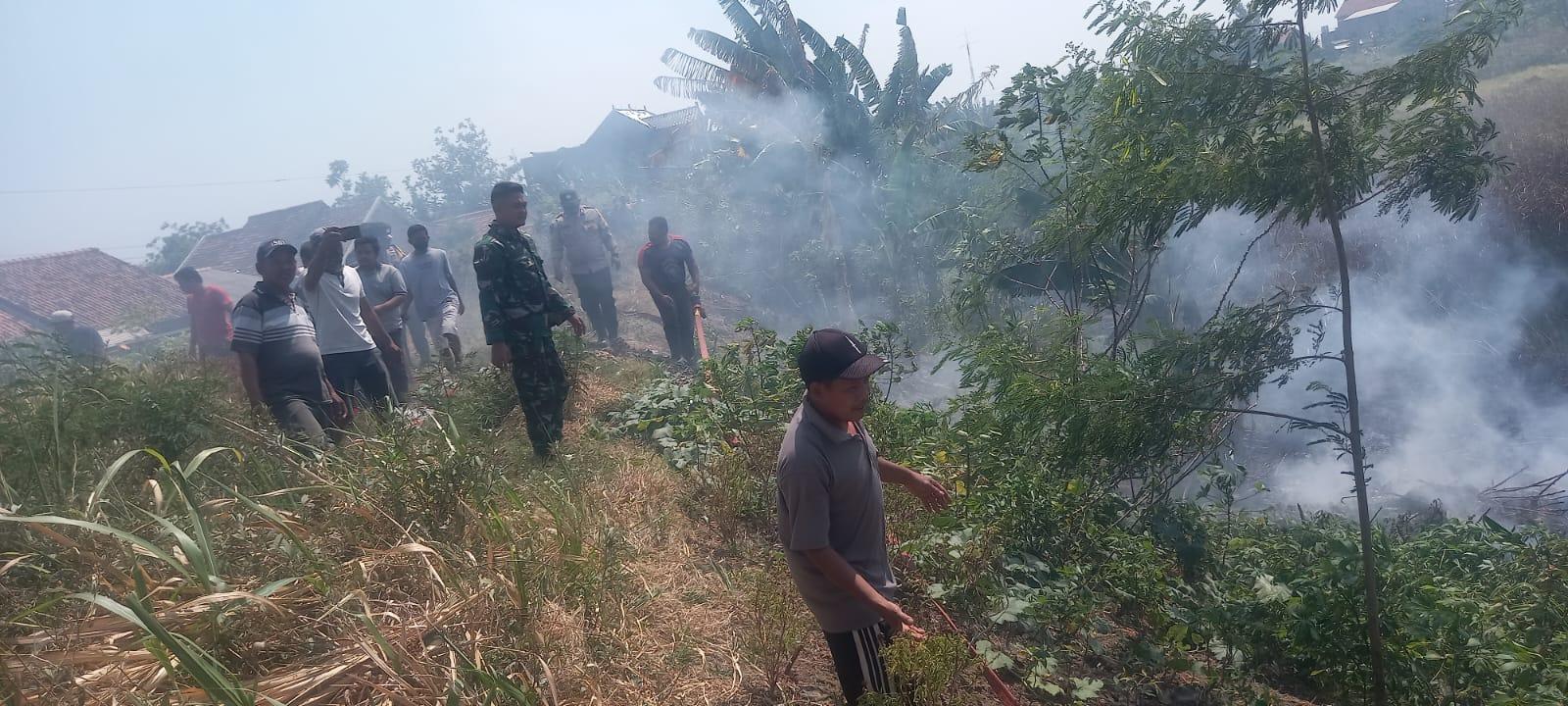 Kebakaran Melanda Desa Pulo Sari Demak, Damkar Demak Cepat Tanggap