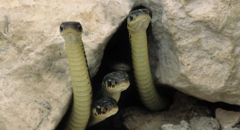 Dom2 seks pornosini onlayn tomosha qiling Jinsiy pozalar va zm