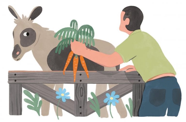 lagu-anak-donkeys-and-carrots.jpg