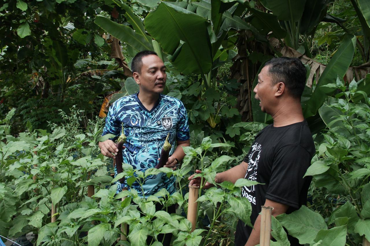 Mampu Topang Ketahanan Pangan, Yoyok Sukawi Puji Program Urban Farming Inisiasi Mbak Ita