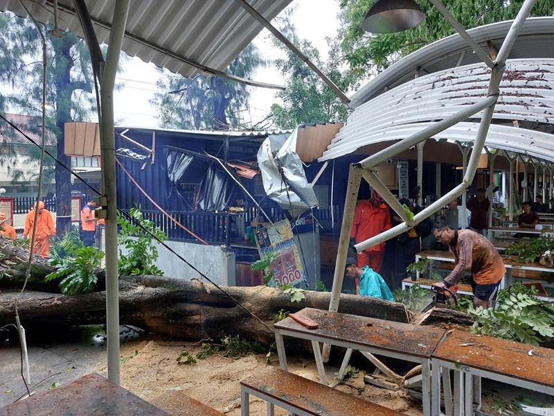 Video Pohon Tumbang Timpa Atap dan Kursi di Kawasan Shelter Manahan Solo