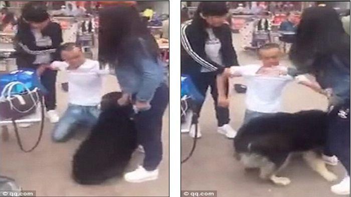 Jadi Viral, Video Dua Wanita Berebut Pria yang Sama di Depan Umum, Saling Tarik Sampai Frustasi