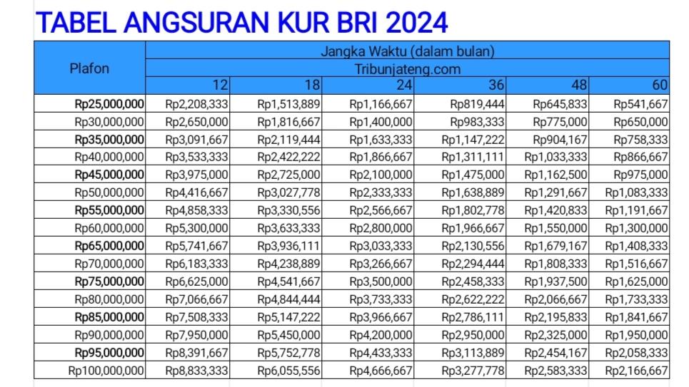 tabel-angsuran-KUR-BRI-2024-Rp25Juta-Rp100-Juta.jpg