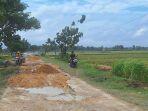 Protes Jalan Rusak, Warga Grobogan Tanami Pohon Pisang di Tengah Jalan