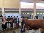 20250606-_-Sapi-Kurban-Presiden-di-RPH-Ngasinan-Wonosobo.jpg