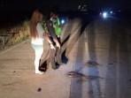 Pria Disambar Ninja saat Hendak Buang Air Kecil, 2 Orang Terkapar di TKP Kecelakaan