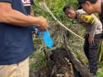 Kerangka Manusia Ditemukan dalam Pohon Mati, Polisi: Diduga Yuda yang Pamit Merantau 2 Tahun Lalu