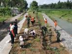 20250923-_-Penanaman-Rumput-Vetiver-Sungai-Kemit-Kebumen.jpg