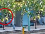 Nasib Guru Aniaya Siswa SMA Berkebutuhan Khusus di Sekolah Dilaporkan ke Polisi: Sadis Orangnya