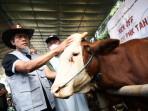 20250927_pemprov-jateng_produksi-daging.jpg