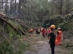20250929_Puluhan-pohon-tumbang-akibat-angin-kencang-di-Wonosobo_1.jpg