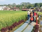 20251005-_-Suasana-Soto-Sawah-Mijen-Semarang.jpg