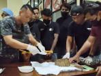 20251009_Bandar-ganja-di-Brebes_1.jpg